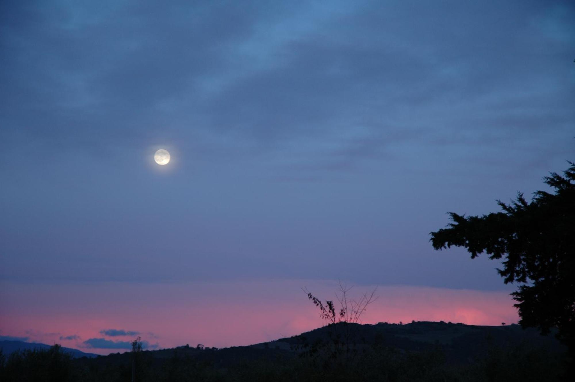 Agriturismo Le Piane Del Milia Suvereto Kültér fotó